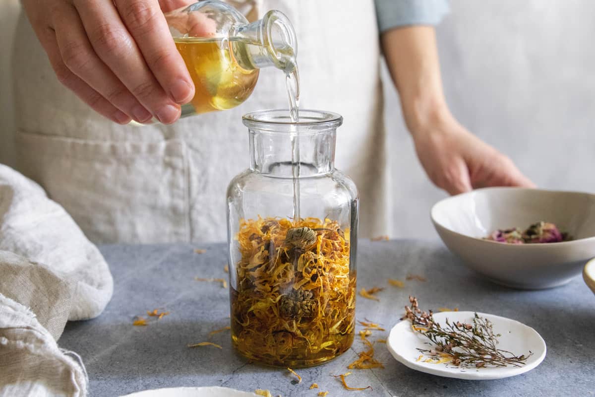 Infusing oil for herbal salve recipes
